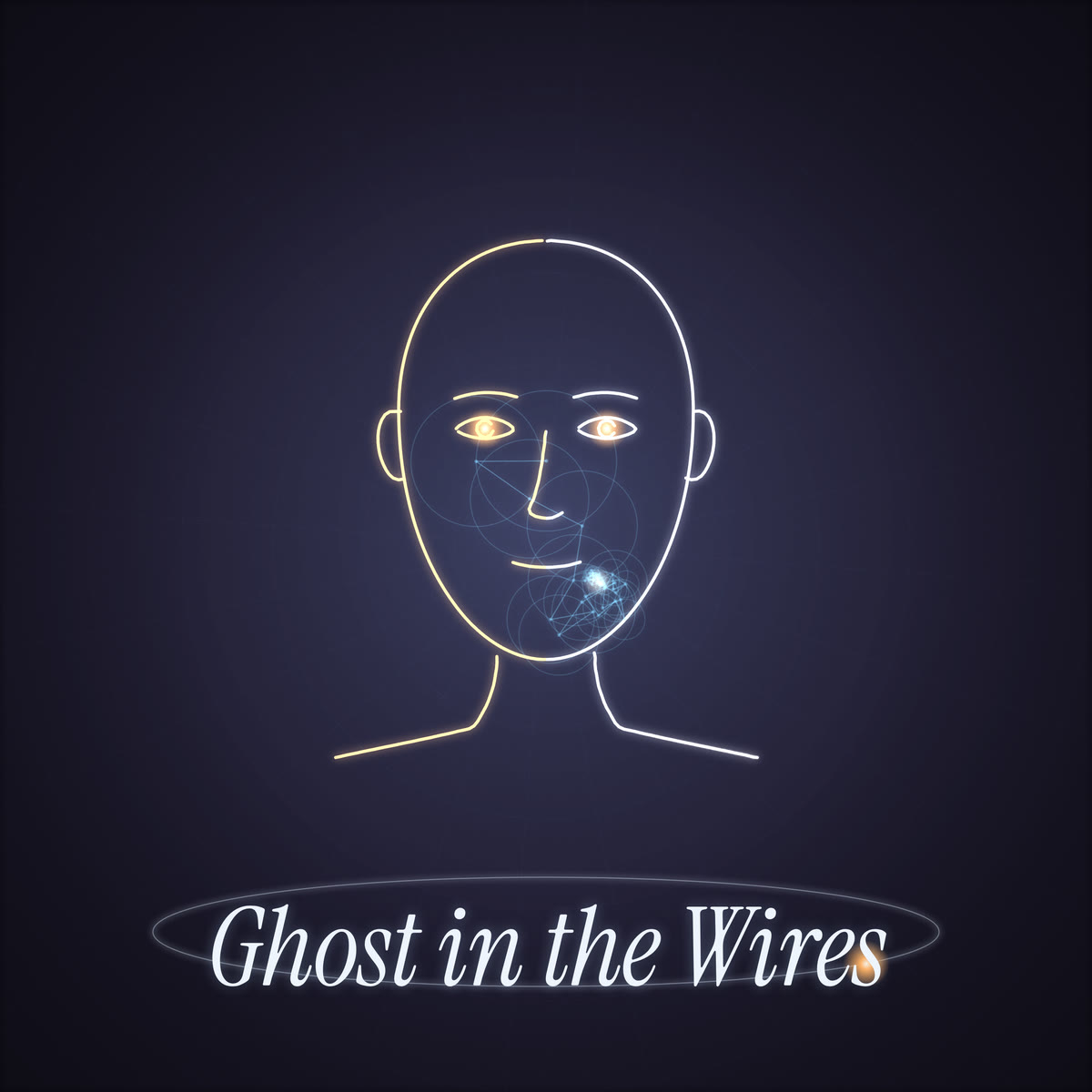 Cover art for Ghost in the Wires.
